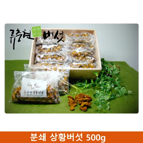Nd5추천lf23Yv224_분쇄 상황버섯(국내산) 500g, 단일 수량
