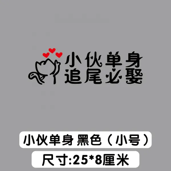 에스앤피 나이 먹은 것이다 여성 추돌 시집가다 차량용 장가들다 자동차 젊은남자 소녀 독신자 정국, 젊은남자 독신 블랙 （스몰자 ）