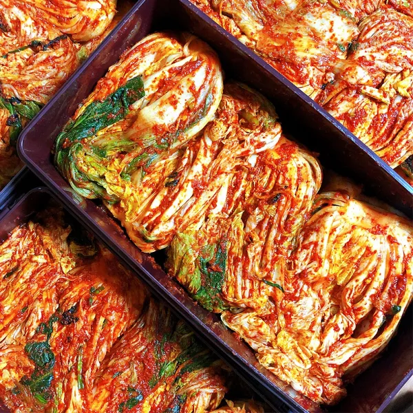 해썹 인증 영월 배추로 당일 담근 아삭한 생 포기 김치, 1개, 50kg