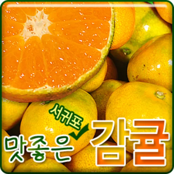 서귀포농원 고당도 최상품 감귤 3kg 5kg 1개 최상품감귤 3kg꼬마소과