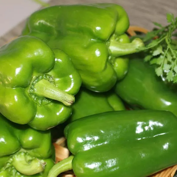 청피망5kg (상) 1박스 자연대로팜웨이, 청피망(상)5kg