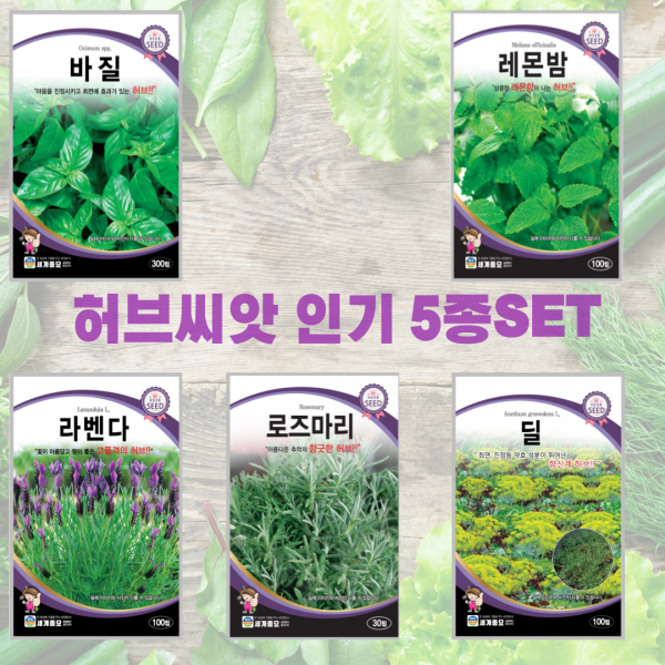 허브씨앗 5종 세트 바질 레몬밤 라벤다 로즈마리 딜