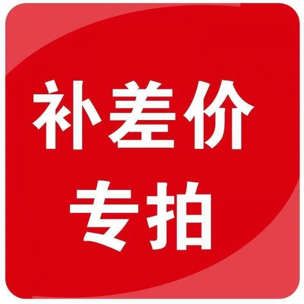 AWSANHU 단가 운임차액 보충 전용 링크 자기부상 지구본 비즈니스 선물세트입니다., 차액을 보충하다, 규격 없음
