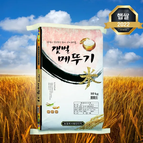 2022년 햅쌀 갯벌 메뚜기쌀 10kg 맛있는 밥맛좋은쌀 밥심 22년산 햅쌀 백미, 단품