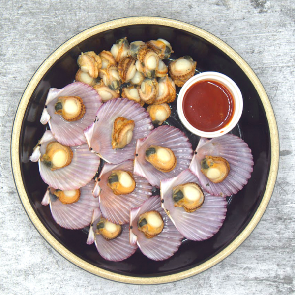 [정하현] 생산자 제철 통영 홍가리비, 홍가리비2kg