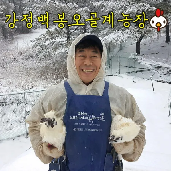 [강정백봉오골계농장]유정란 백봉 오골계 계란(부화용 자연방사 무항생제), 백봉오골계란 10구