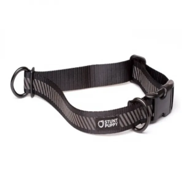 Stunt Puppy Go Dog Glo Everyday Collar Black 스턴트 퍼피 고독 글로 에브리 데이 칼라 블랙, 1