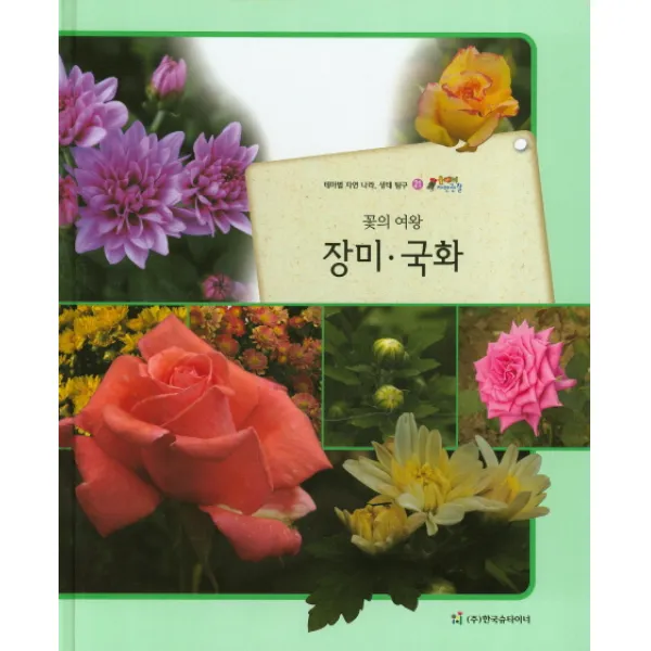 꽃의 여왕 장미 국화:테마별 자연 나라 생태 탐구, 한국슈타이너