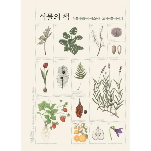 식물의 책:식물세밀화가 이소영의 도시식물 이야기 책읽는수요일