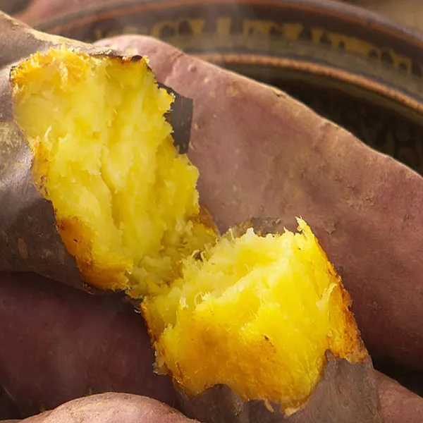 해뜨온 꿀밤고구마 5kg못난이 단품