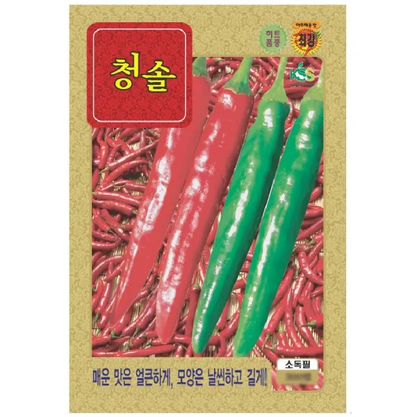 씨앗 청솔고추 청양고추 (청양고추) 300립