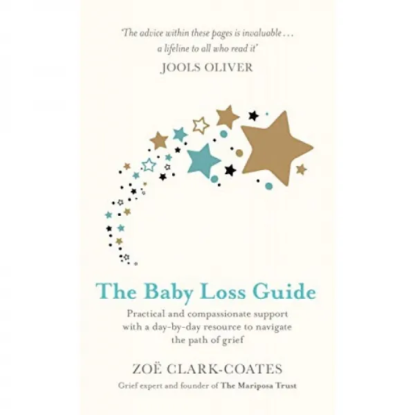 Baby Loss Guide : 슬픔의 길을 탐색하기위한 일일 리소스를 통한 실용적이고 동정적인 지원, 단일옵션