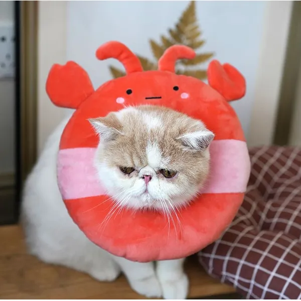 넥카라 고양이 부끄러움 목줄 부드러운천 넥워머 핥기방지중성수술 후용 용품귀여운 헤드커버, T03-딸기 약을 줘, C02-M-중형