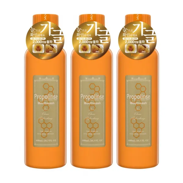 프로폴린스 프로 찌꺼기 가글 구강청결제, 3병, 600ml