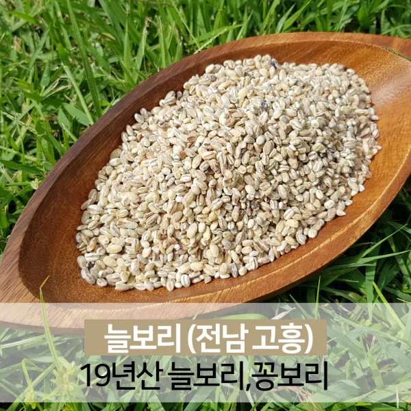 진도장모와서울큰사위 늘보리쌀 꽁보리 비빔밥 쌀 햅곡 [19년산 고흥], 1개, 1kg