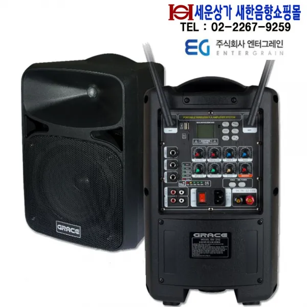 카날스 EG-210 엔터그레인 충전식앰프 200W 출력 200MHz 2채널 블루투스 USB TF CARD 라디오 에코 녹음 뮤트 기능 EG210 버스킹 공연 섹소폰연주 집회등, 무선 핸드마이크형+무선 핸드마이크형