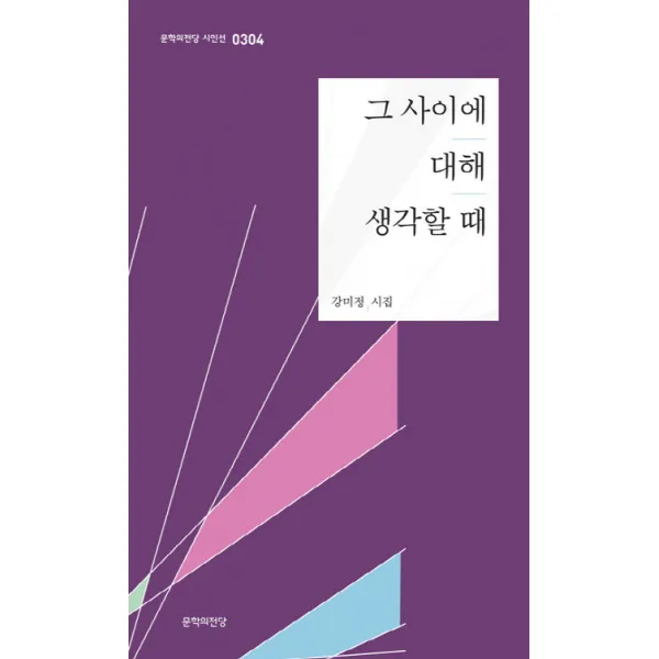그 사이에 대해 생각할 때:강미정 시집 문학의전당