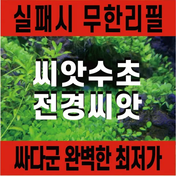 싸다군 씨앗수초 성공보장 