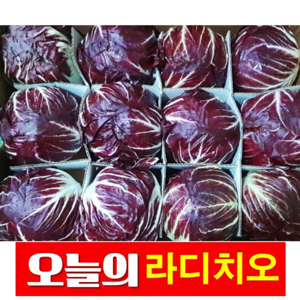 바른채소 라디치오 1통 신선함을 그대로 가락시장 가락몰 직배송 시스템, 1개