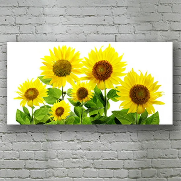 화색갤러리 해바라기액자 돈들어오는 해바라기그림 캔버스액자 40x80 Cm 
