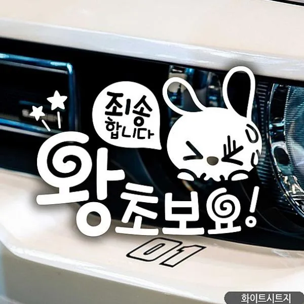 크레피 죄송합니다 왕초보요 초보자동차스티커-화이트 차량용 스티커