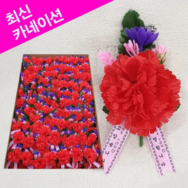명성유통 제일_금년도_최신카네이션(기본형)