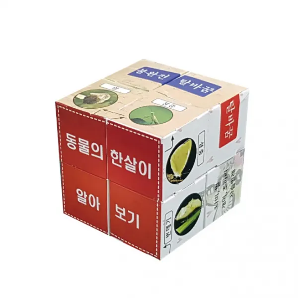 Story 매직큐브 동물의 한살이 만들기 5인용 