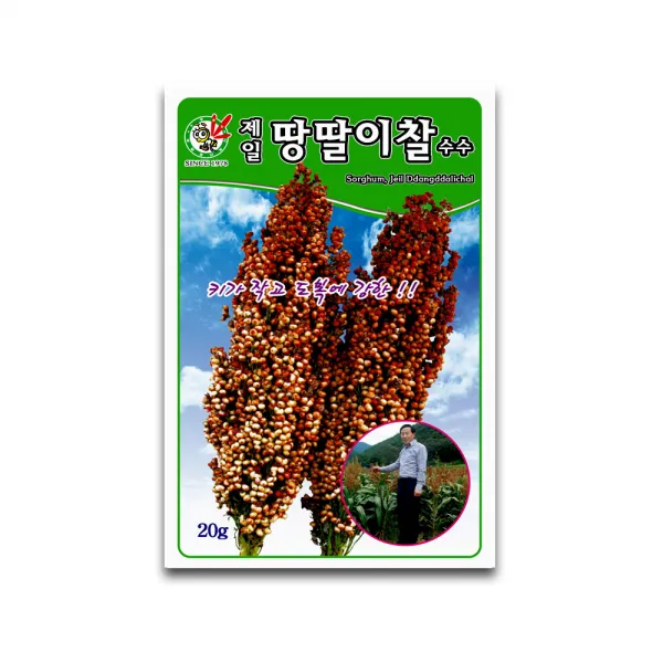 모칸도 (무배) 제일종묘 땅딸이찰수수 20g