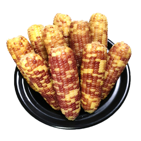 비에스엠푸드 쫀득쫀득 찰옥수수 22개 2set구매시 5개추가증정이벤트!!