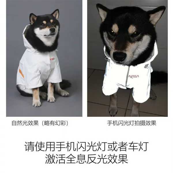 코린 애완옷 몹시 당황하다 예봉 팔찌 컵 스트리트 러너 브라도 빅타입 골드 튀기다 중형 리플렉터 애완동물 펫 견법 얇은, 우주비 리플렉터 화이트 얇은, 5XL