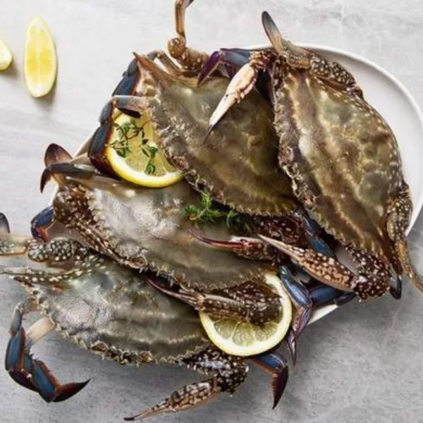 수산물백화점 속이 꽉찬~차원다른 크기~제철 싱싱 냉동 꽃게 1kg 3미 3마리 1kg