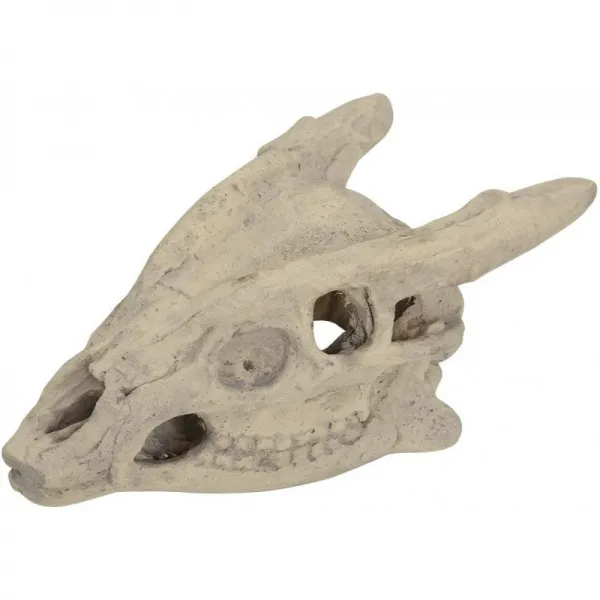 스탠브로일 방재화구 및 벽난로 스컬 가스 로그 천연 가스/액체 프로판 할로윈 데코 1 팩 특허 보류 중 : 가든 & 아웃 단일옵션