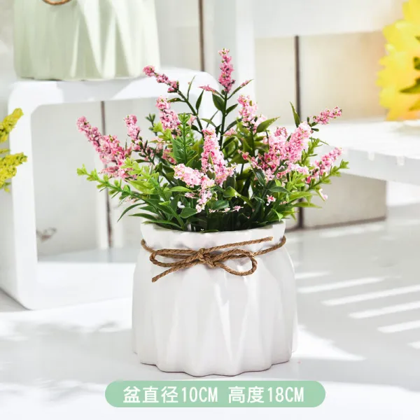 부잣나무 사무용 실내 데스크 좋은 양꽃 분재 작은 녹색 식 부귀죽 수배 라 식물 많은 고기, 핑크 안개꽃