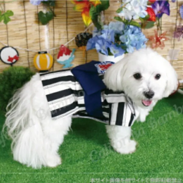 소 규모 개 욕의 월 부채 쌈지 와 복 ♪ 소년의 욕의 류 와 서버 1 호 2 호 길이 3 호 4 호 명절 상품 왕 싱 인 유 카 타 와 개 복 상세설명참조 상품 문의는 상품 문의란에 적어주세요