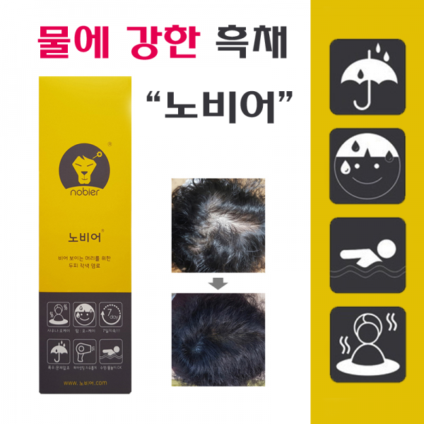 [노비어] 바르는 흑채 남성 여성 탈모커버 헤어틴트 워터프루프, 1개, 본품