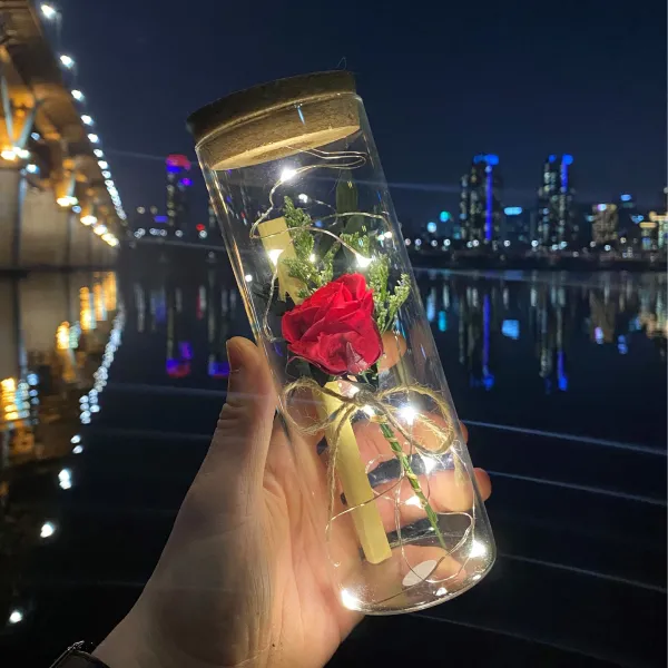 [프렌치라임] LED 코르크 플라워 유리병 편지지 세트, LED유리병 프리저브드 레드장미