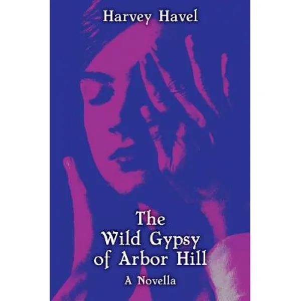 The Wild Gypsy of Arbor Hill Paperback, Hozefa Haveliwala
