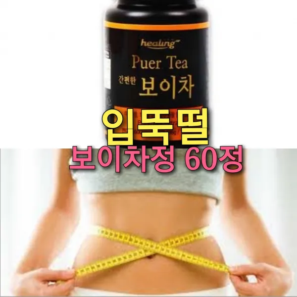 입뚝떨 다이어트 보이차정 60정/지방축적 방해 입맛 식욕감퇴 카테킨다이어트 잔티젠, 1)입뚝떨 보이차정 60정 1+1