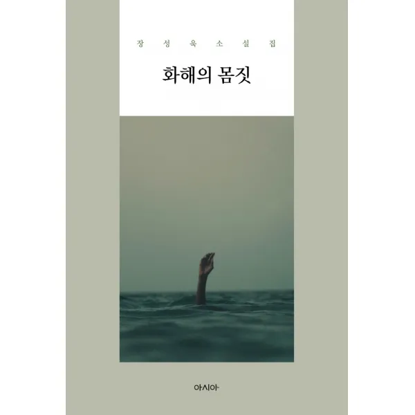 화해의 몸짓:장성욱 소설집, 아시아, 장성욱