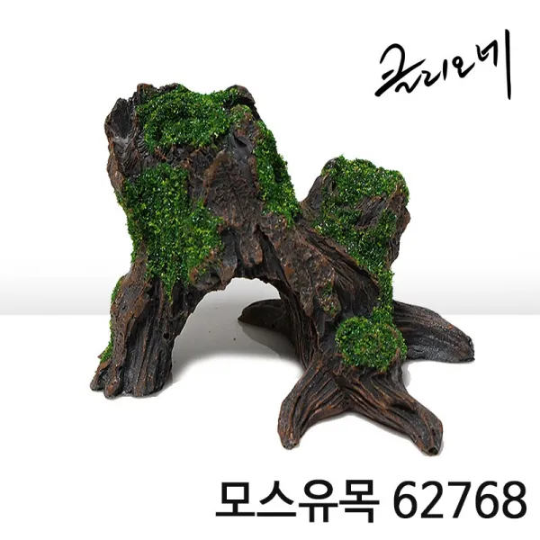 아이사이언스에듀 모스유목 [62768] 어항유목 구피은신처 유목