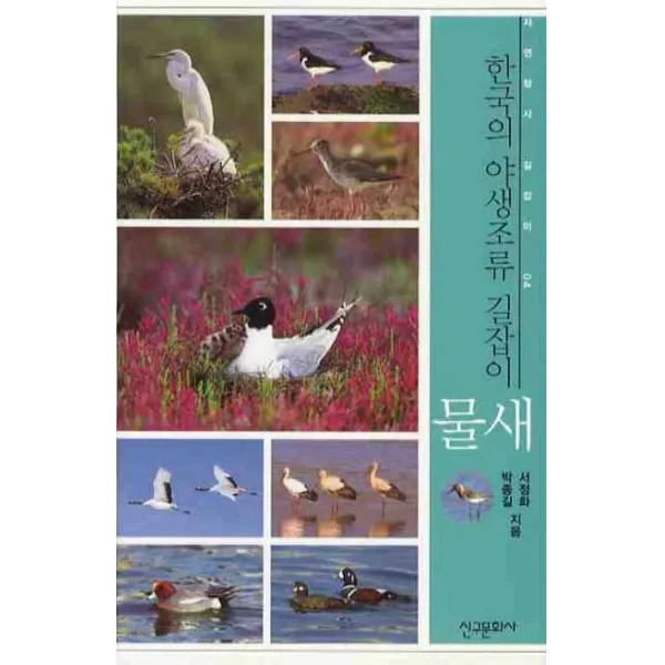 한국의 야생조류 길잡이 : 물새 신구문화사