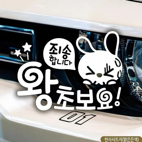 물건짱 죄송합니다 왕초보요 초보자동차스티커-반사 차량용 스티커