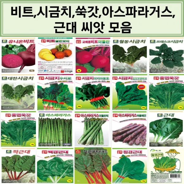 코리아팜 비트 시금치 쑥갓 아스파라거스 근대 씨앗/유니온비트/골든보이비트/아틀란비트/월동시금치/프래스코시금치/대찬시금치/수시로시금치/아시아동초시금치/킹오브덴마크시금치/, 12.다-아스파라거스 200립