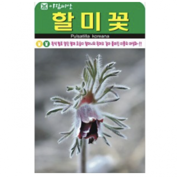 보람농자재 할미꽃 씨앗 [50립]