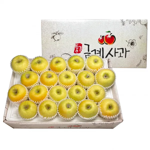 시나노골드 사과 풍기금계농장 정품 5kg 17-19과, 17-19과