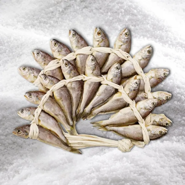굴비家 [굴비家]갯바람 참굴비(냉동/국산)60미 3.0kg, 1개