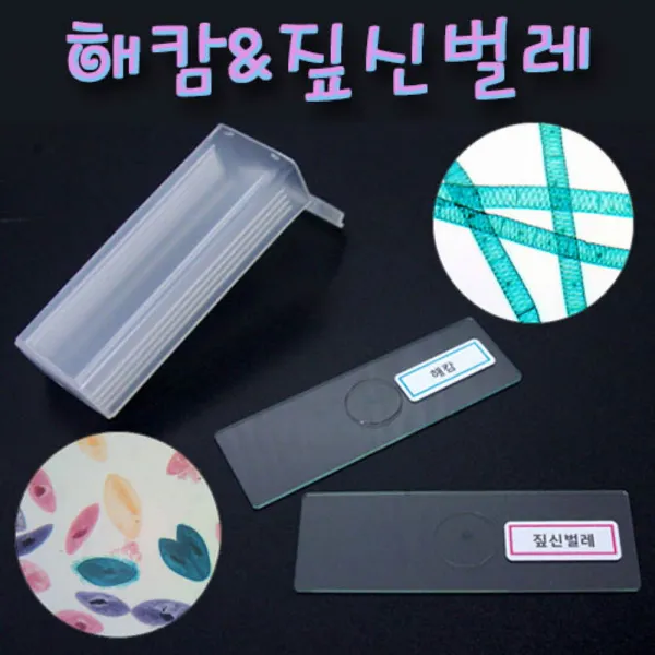 213 위드코리 / 세트 실험 과학 키트 해캄 짚신벌레 프레파라트 2종 과학실험키트초등과학실험키트 과학키트 과학실험 과학실험키트