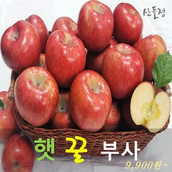 경북사과 햇 꿀 부사 사과10kg 5kg 3kg [산지직송] 산들정, 1box, 05. 사과 10kg (41~46과 내외) 가정용 흠과