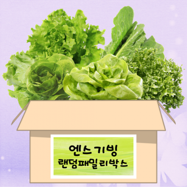 스마트팜 수경재배 친환경무농약 신선한 유럽형샐러드 모듬1k