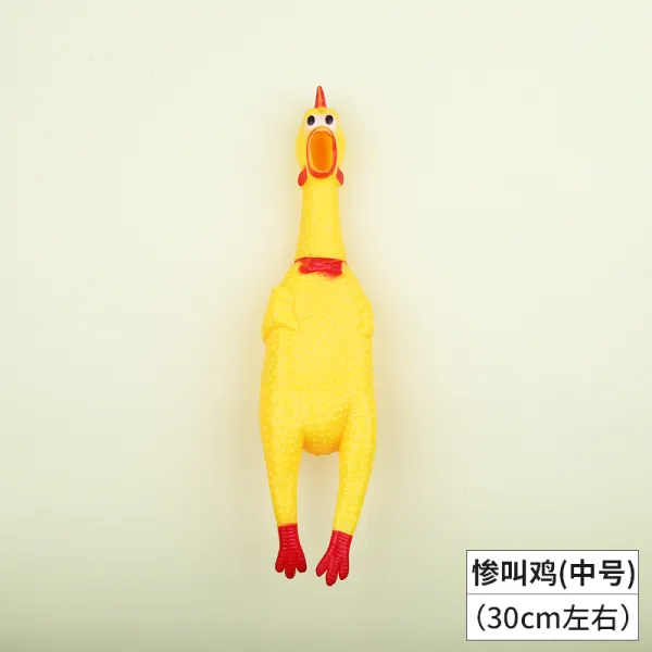 비명 절망 닭끝 닭을 불러 모으고 부를 수 의 싸움닭 소리나는 비명을지르다 로열 블루 사이드